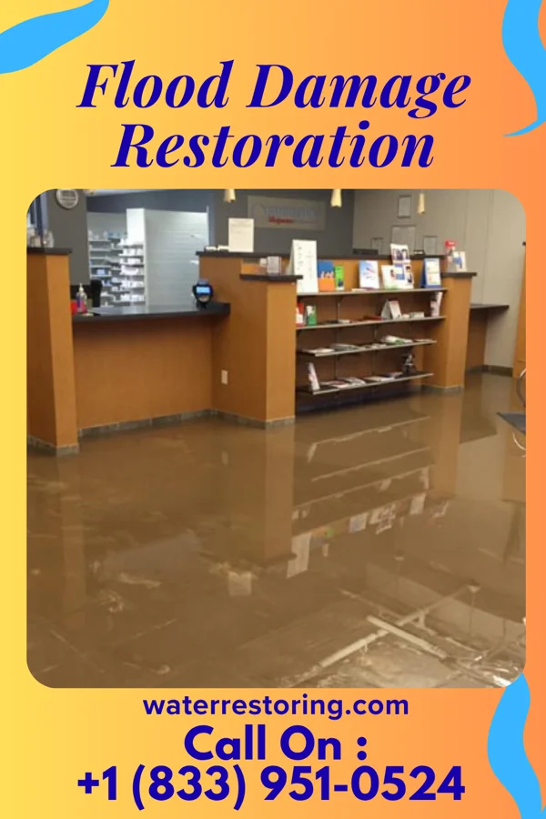 Flood Damage Restoration in Liberty, IL