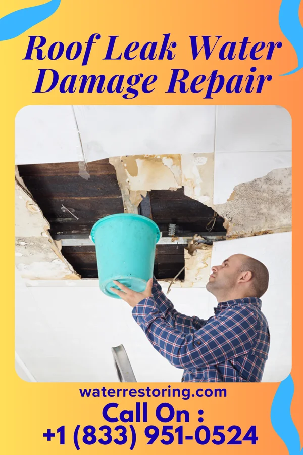 Roof Leak Water Damage Repair in Liberty, IL